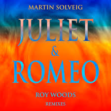 Martin Solveig & Roy Woods